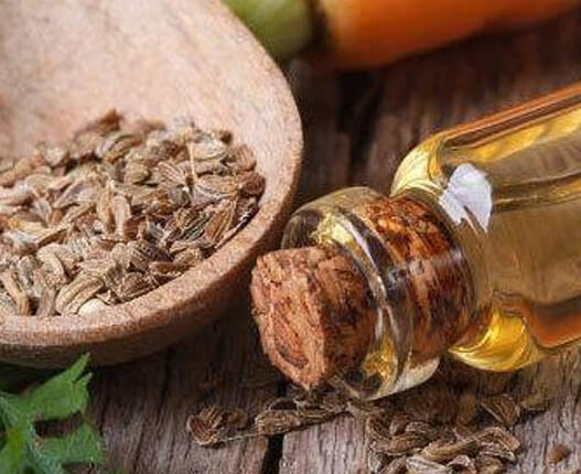 Ajowan Oil