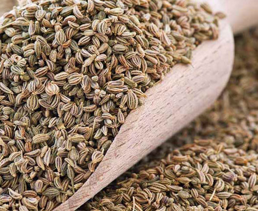 CELERY SEED OIL