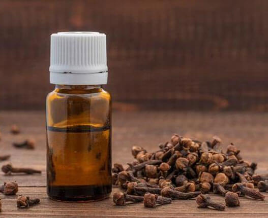 Clove Bud Oil
